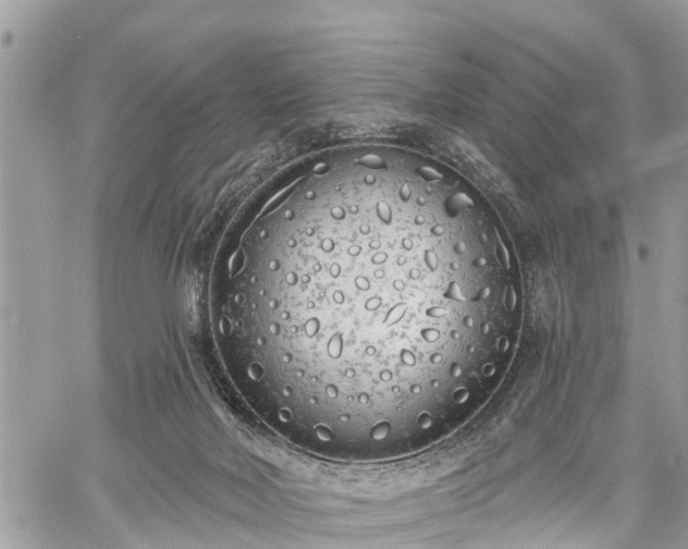 X0000060760026200511141243