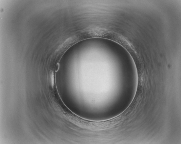 X0000060760027200511141243