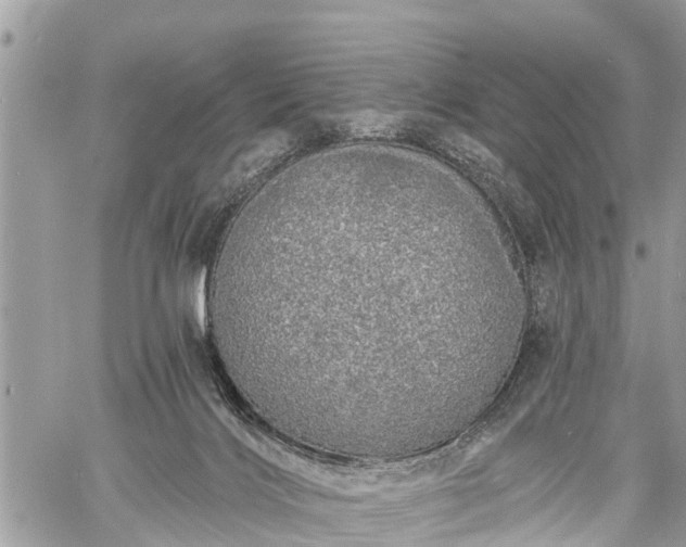 X0000060760028200511141243