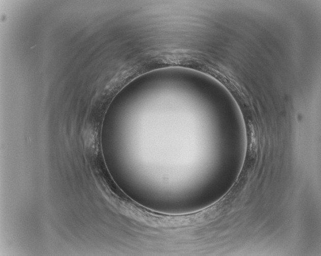 X0000060760031200511141243