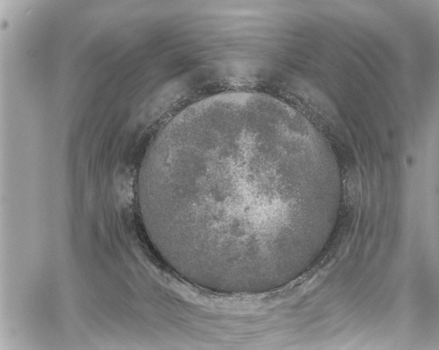 X0000060760032200511141243