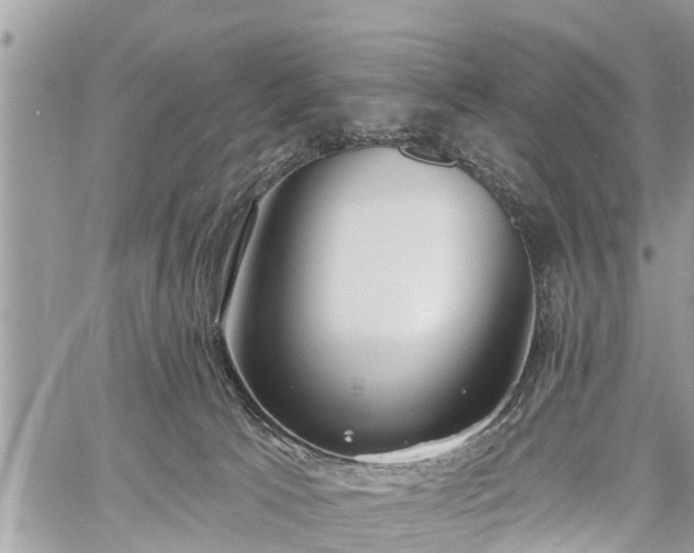 X0000060760033200511141243