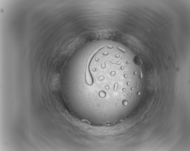 X0000060760034200511141243