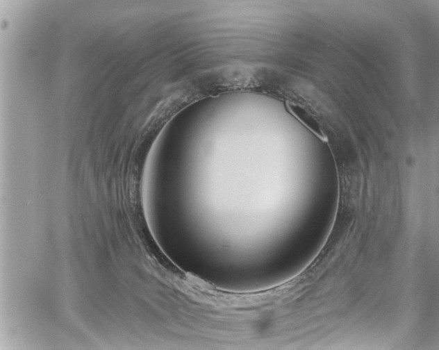 X0000060760035200511141243