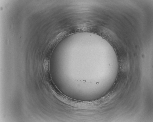 X0000060760036200511141243