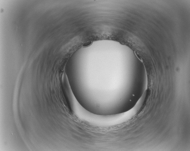 X0000060760037200511141243