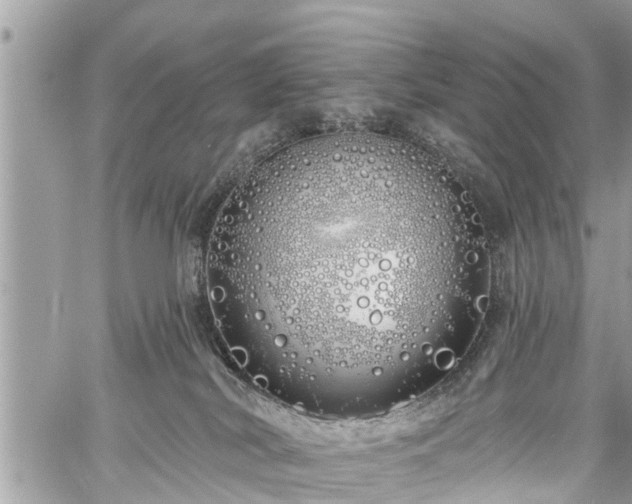 X0000060760038200511141243