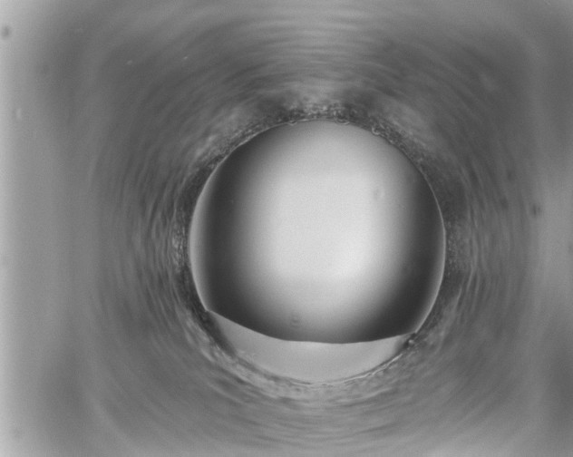 X0000060760039200511141243