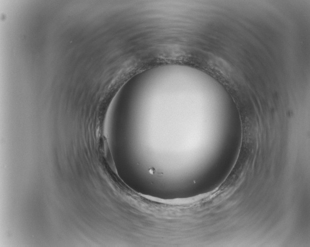 X0000060760040200511141243