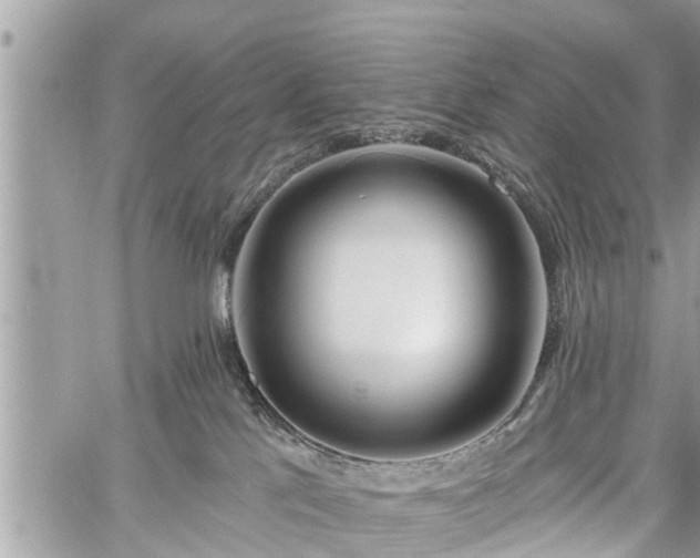 X0000060760041200511141242