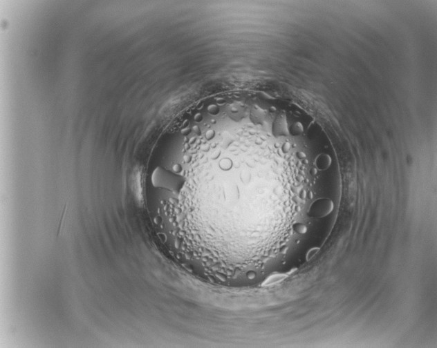 X0000060760042200511141242