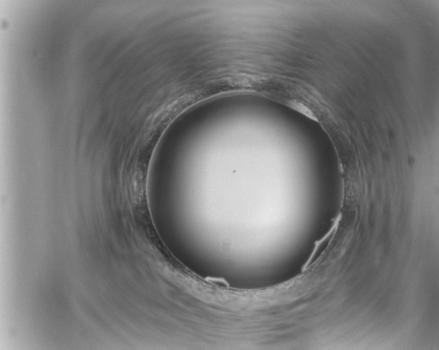 X0000060760043200511141242