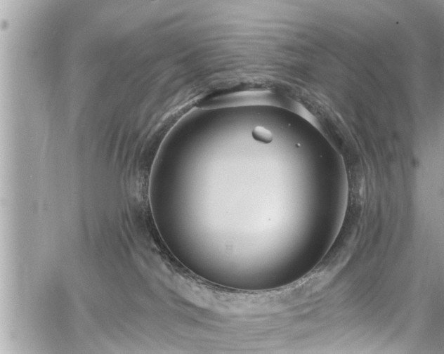 X0000060760044200511141242