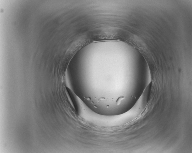 X0000060760045200511141242