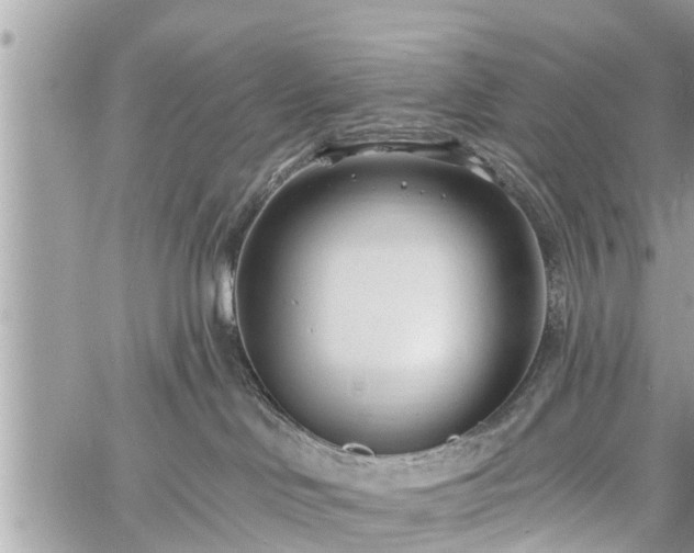 X0000060760046200511141242