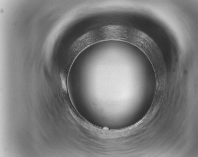 X0000060760047200511141242