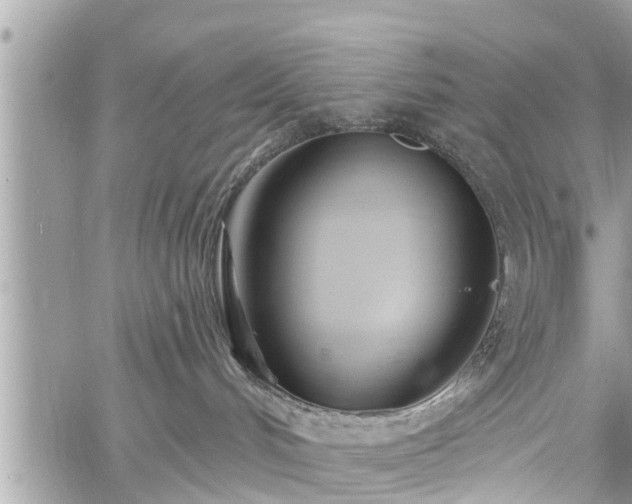 X0000060760048200511141242