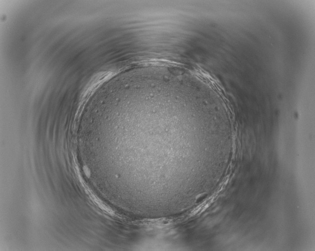 X0000060760049200511141242