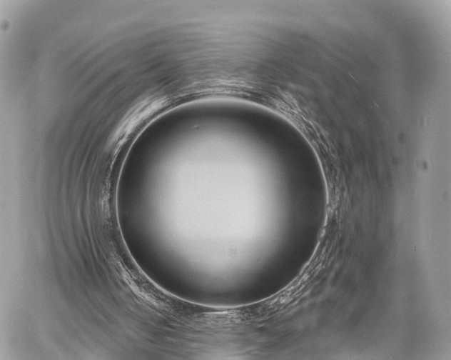 X0000060760050200511141242