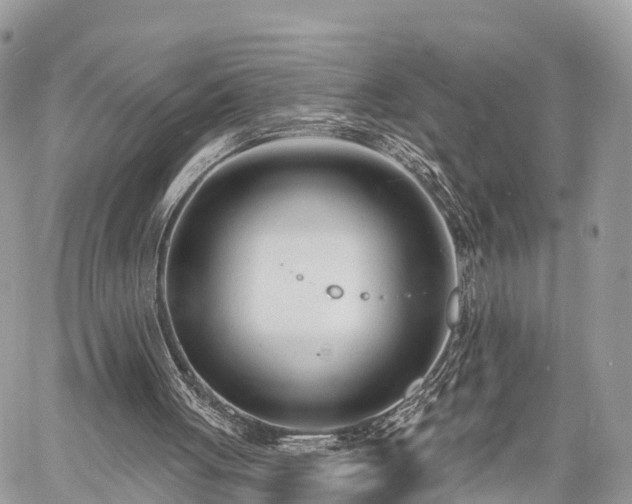 X0000060760051200511141242