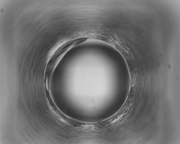 X0000060760052200511141242