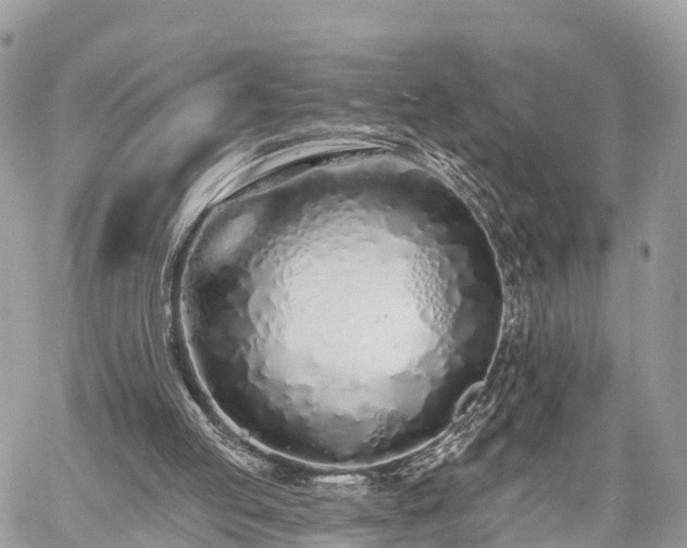 X0000060760053200511141242