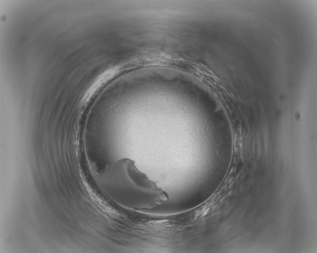 X0000060760054200511141242