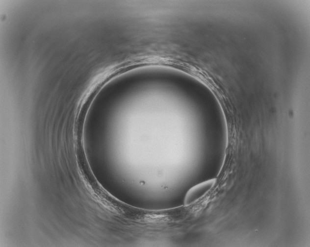 X0000060760055200511141242