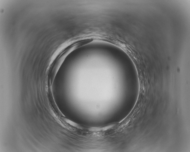 X0000060760056200511141242