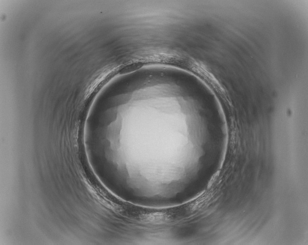 X0000060760058200511141242