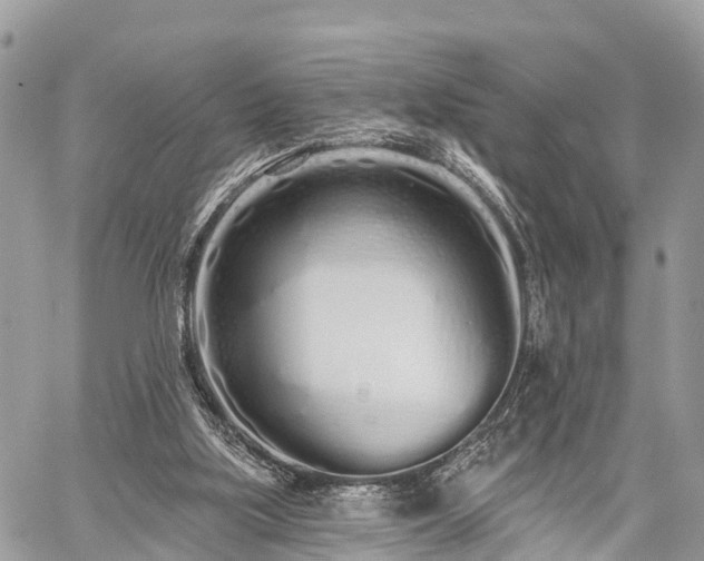 X0000060760059200511141242