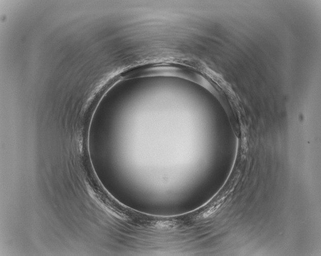 X0000060760060200511141242