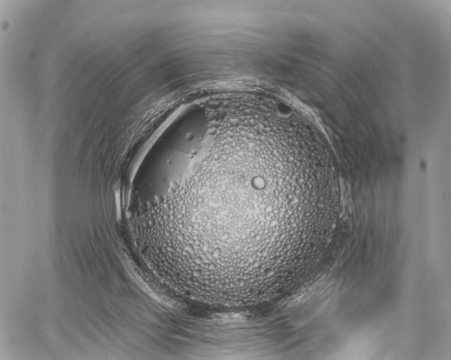 X0000060760061200511141242