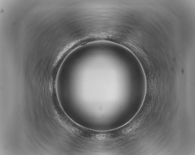 X0000060760064200511141242