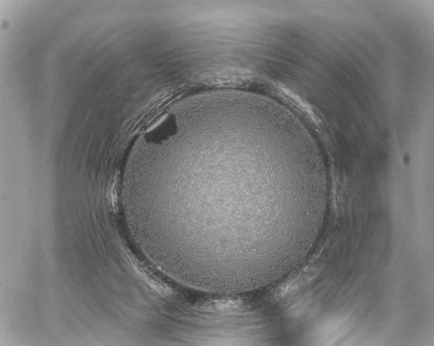 X0000060760065200511141242