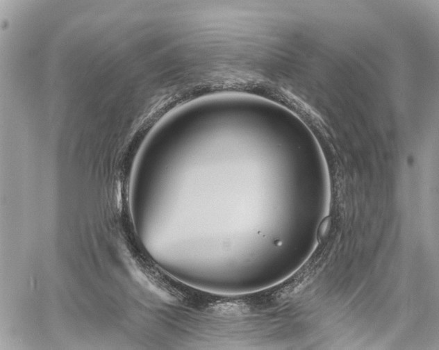 X0000060760067200511141242