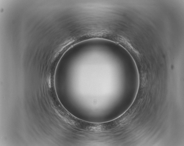 X0000060760068200511141242