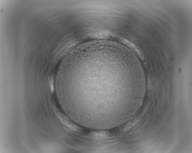 X0000060760069200511141242