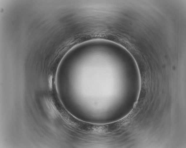 X0000060760070200511141242