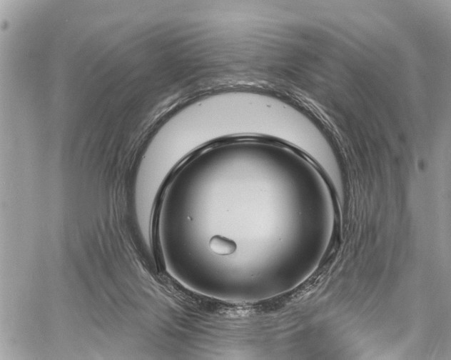 X0000060760071200511141242