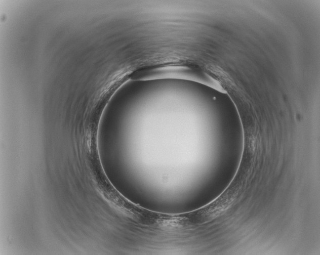 X0000060760072200511141242