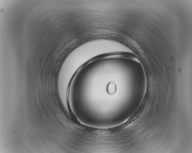 X0000060760073200511141242