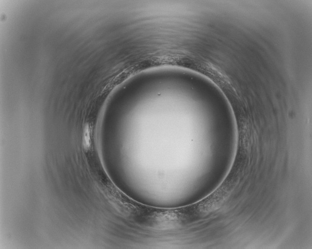 X0000060760075200511141242