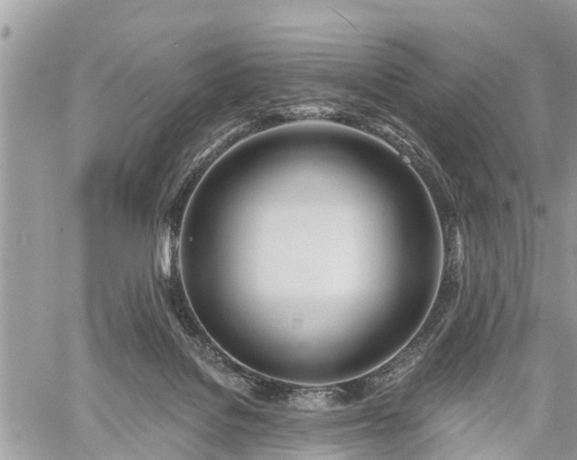 X0000060760076200511141242