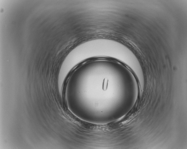 X0000060760077200511141242