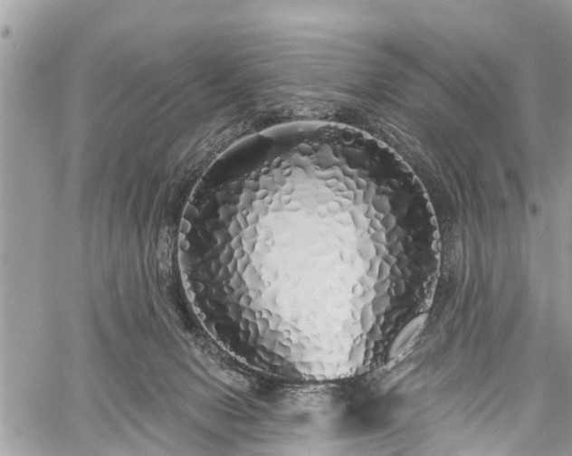 X0000060760078200511141242