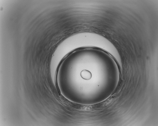 X0000060760080200511141242