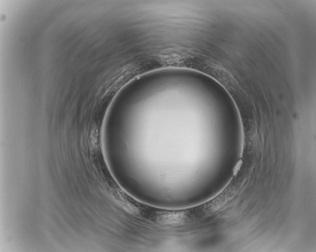 X0000060760081200511141242