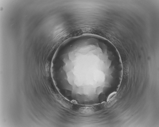 X0000060760082200511141242