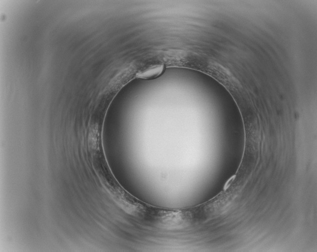 X0000060760083200511141242